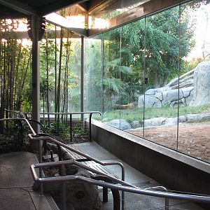Lost Forest - Gorilla Tropics - Gorilla Viewing Window