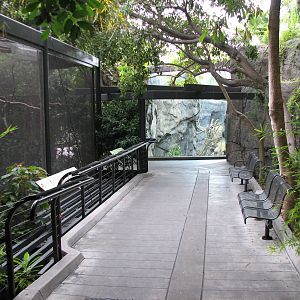 Lost Forest - Gorilla Tropics - Aviary and Path