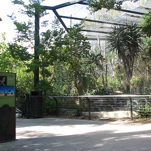 Lost Forest - Monkey Trails and Forest Tales - Weaver Aviary