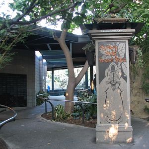 Lost Forest - Monkey Trails and Forest Tales - Viewing Shelter