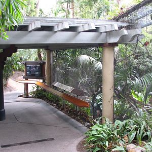 Lost Forest - Tiger River - Marsh Aviary