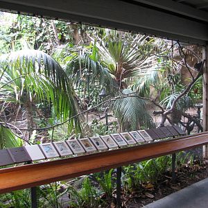 Lost Forest - Tiger River - Marsh Aviary