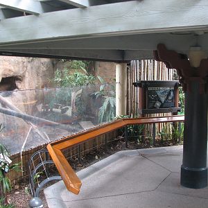Lost Forest - Tiger River - Fishing Cat Exhibit
