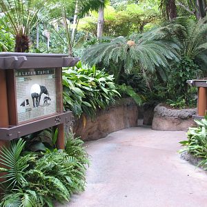 Lost Forest - Tiger River - Path