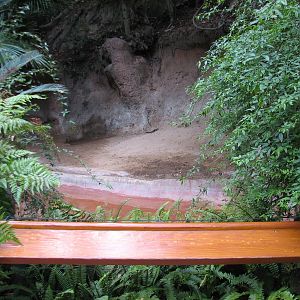 Lost Forest - Tiger River - Malayan Tapir Exhibit