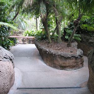 Lost Forest - Tiger River - Path