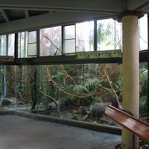 Lost Forest - Tiger River - Aviary and Python Exhibits