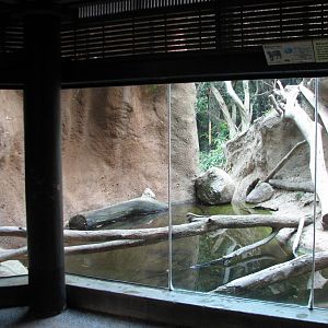 Lost Forest - Tiger River - Tiger Viewing Area