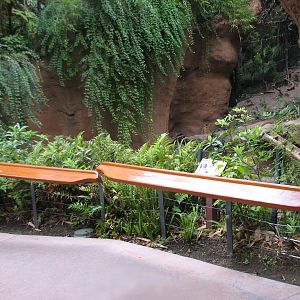 Lost Forest - Tiger River - Tiger Viewing Area