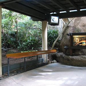 Lost Forest - Tiger River - Argus Pheasant Exhibit