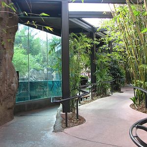 Lost Forest - Ituri Forest - Viewing Shelter