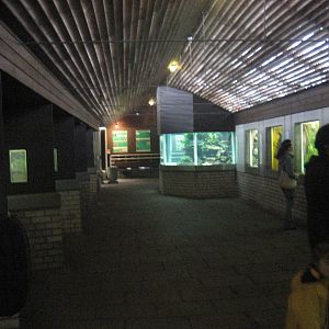 Wuppertal Zoo - Aquarium