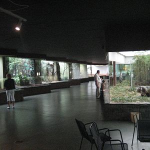 Frankfurt Zoo - Bird house