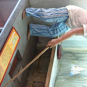 Tokay Gecko and Reticulated Python exhibit, Kidzworld