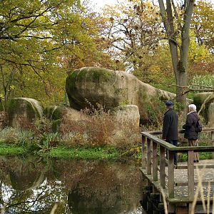 Basel Zoo -  Cheetahs (Etosha)