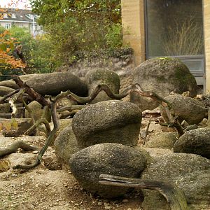 Basel Zoo - Meerkat & porcupine exhibit (Etosha)