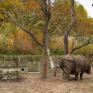 Basel Zoo - Indian rhino/Muntjac/otter exhibit (Sauter Garden)