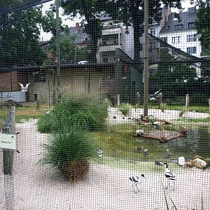 Cologne Zoo - Beach aviary
