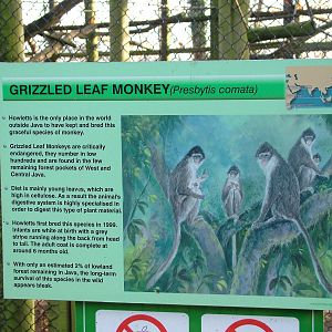 Signage example at Howletts 26/11/09