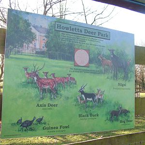 Label for the Deer and Antelope Park at Howletts 26/11/09