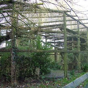 Snow Leopard enclosure at Howletts 26/11/09