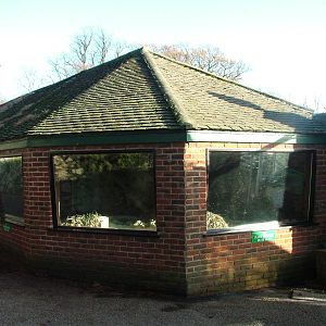 Burmese Python exhibit at Howletts 26/11/09