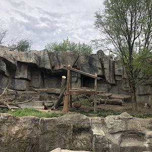 Sloth Bear exhibit