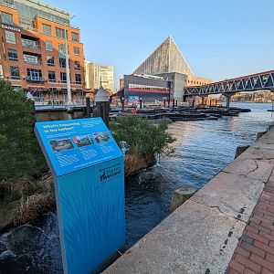Harbor Wetlands Construction