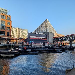 Harbor Wetlands Construction