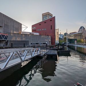 Harbor Wetlands Construction