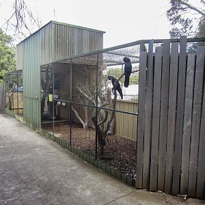 Black Cockatoo Aviary