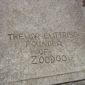 Scribbles in the concrete