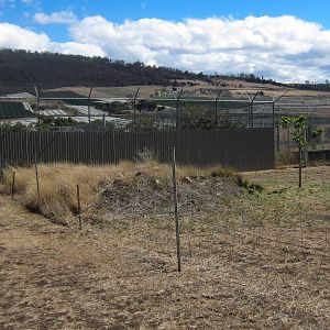 Lion enclosure exterior