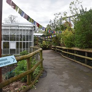 Parrot Breeding Centre Rebrand at Chester, 18th April 2024