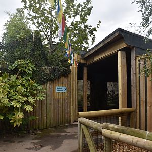 Parrot Breeding Centre Rebrand at Chester, 18th April 2024