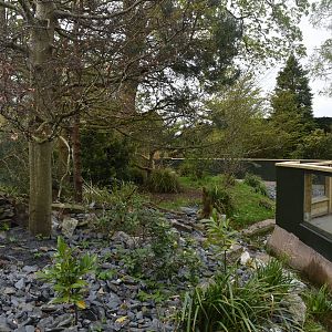 Refurbed Red Panda Enclosure at Chester, 18th April 2024