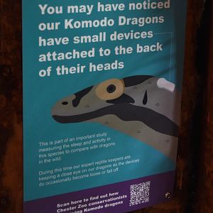 Explanatory Sign for Komodo Dragon Tracker at Chester, 18th April 2024