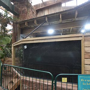 New Enclosure in Tropical Realm at Chester, 18th April 2024