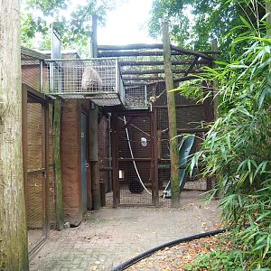 Barbary macaque holding/Separation area, 2023-08-17