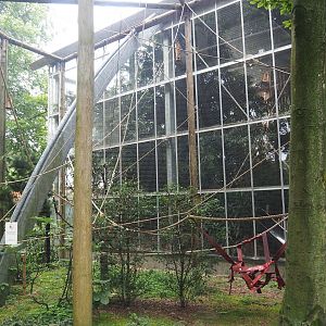 Bolivian squirrel monkey exhibit, Section to the left of RavotAapia entrance, 2023-08-17