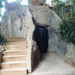RavotAapia indoor playground - Entrance to cave area with Lyle's flying fox indoor exhibit, 2023-08-17