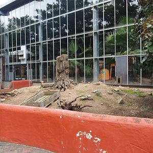 Black-tailed prairie dog outdoor exhibit, 2023-08-17