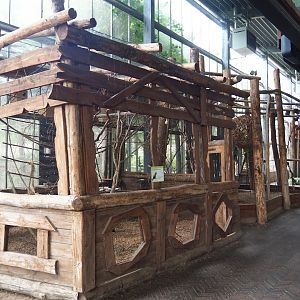 Rainbow lorikeet and Village weaver/Von der Decken's hornbill aviaries, 2023-08-17