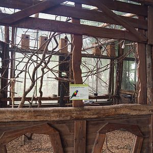 Rainbow lorikeet aviary, 2023-08-17