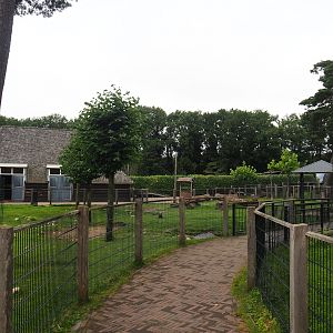 Petting zoo paddock, 2023-08-17