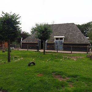Petting zoo paddock and barn, 2023-08-17