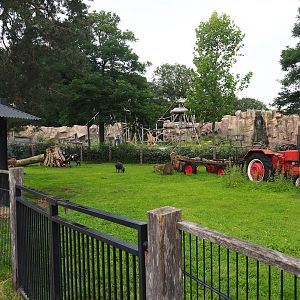 Petting zoo paddock, 2023-08-17