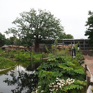 Walkway and Bonobo exhibits, 2023-08-17
