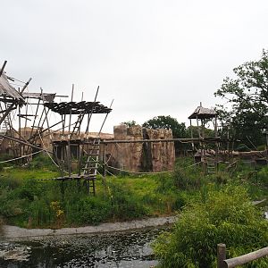 Bonobo exhibits, 2023-08-17