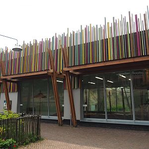 Bonobo house, 2023-08-17